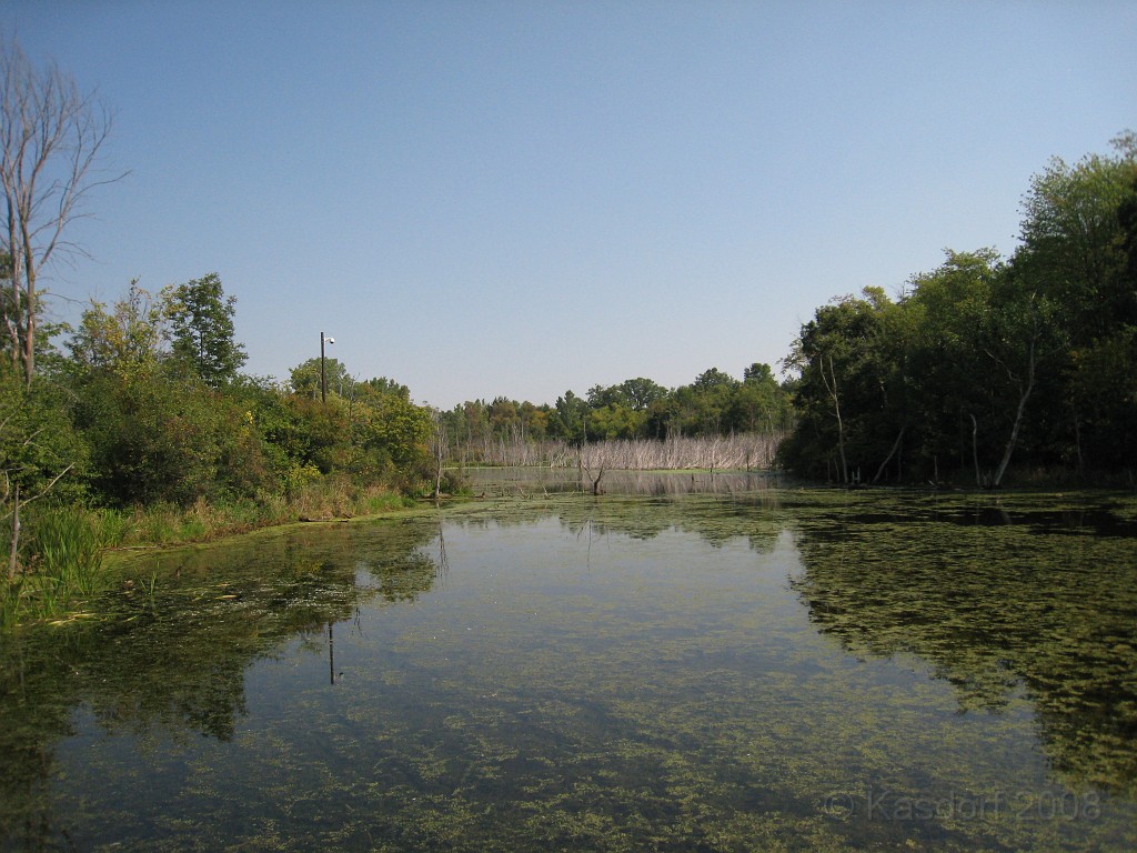 Michigans West Coast 2009 1470.jpg - Labor Day 2009. A trip along Michigans west coast to see beachs, art and buffets.